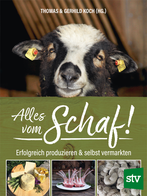 Cover des Buches 'Alles vom Schaf' mit einem Schaf und drei weiteren Abbildungen unten mit Produkten vom Schaf (Käse, Fleisch, Wolle)